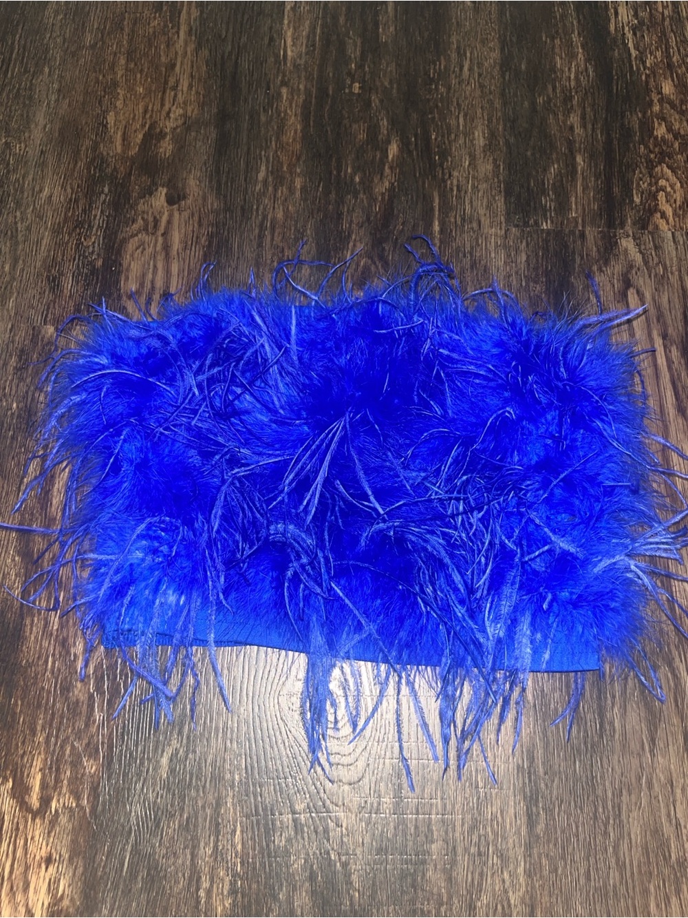Lucy Paris Royal Blue Feathered Cropped Strapless Tube Top